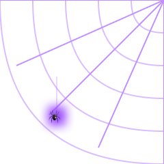Spider Web