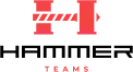 Hammer Teams Logo