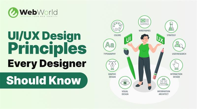 UI/UX Design Principles Every Designer Should Know