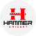 hammer-cricket
