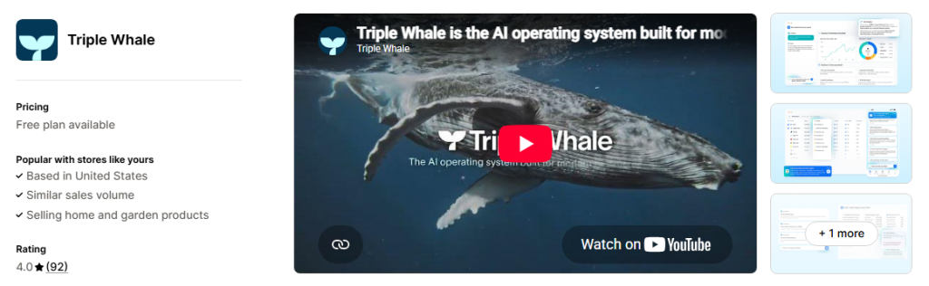Triple Whale